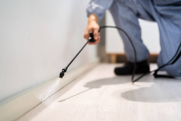 Licensed Pest Control service in Eustace, TX - Show Me Pest Control