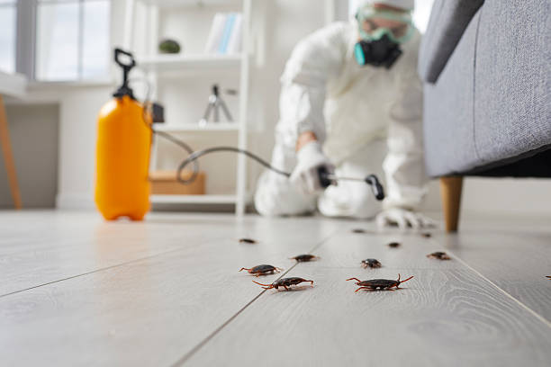 Commercial Kitchen Cockroach Control in Eustace